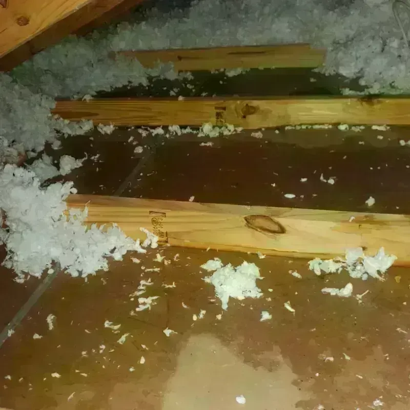 Attic Water Damage in Macon County, IL